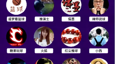 大乐透期号专家质合分析：灰熊内线空虚应对篮网反击策略